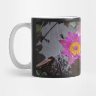 Pink Water Lily Mug